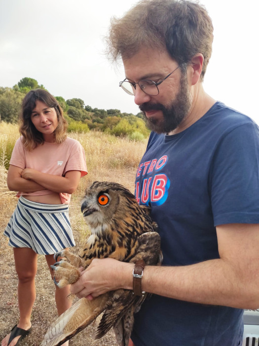 Nadia de Santiago observa cómo César Ríos, director del cortometraje "Amenazados", se dispone a liberar un búho real.