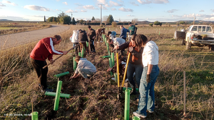 Voluntarios de GREFA durante la plantación con especies autóctonas de una lindera con el fin de favorecer a los polinizadores.