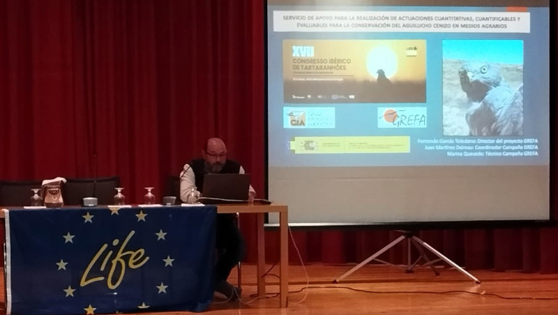 Fernando Garcés, secretario general de GREFA, durante la presentación de una ponencia sobre el aguilucho cenizo.