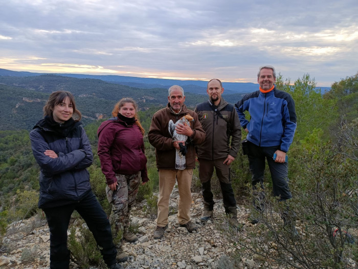 Nuestro colaborador Tito sujeta al águila de Bonelli "Oter", momentos antes de liberarla. Le acompañan el equipo de GREFA y un Agente Medioambiental de Castilla-La Mancha.