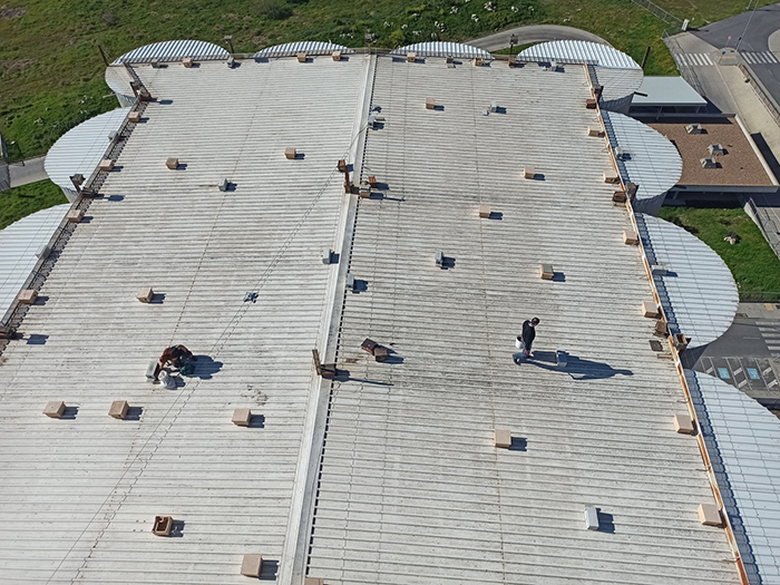 Espectacular imagen del tejado del gran silo existente en Trujillo (Cáceres), con gran cantidad de cajas nido para el cernícalo primilla.