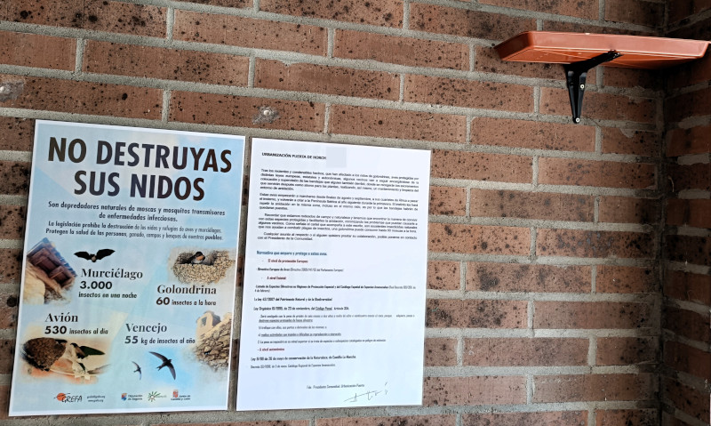 Cartel de GREFA junto al comunicado de la comunidad de vecinos y la bandeja de recogida de excrementos bajo el nido de golondrina destruido.