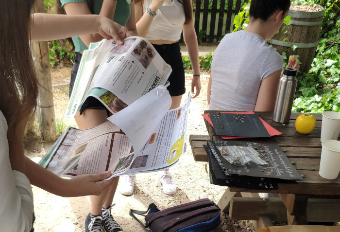 Alumnas comparten pósters y resultados del proyecto de disección de egagrópilas realizado por el IES “Simone Veil”, de Paracuellos del Jarama (Madrid).