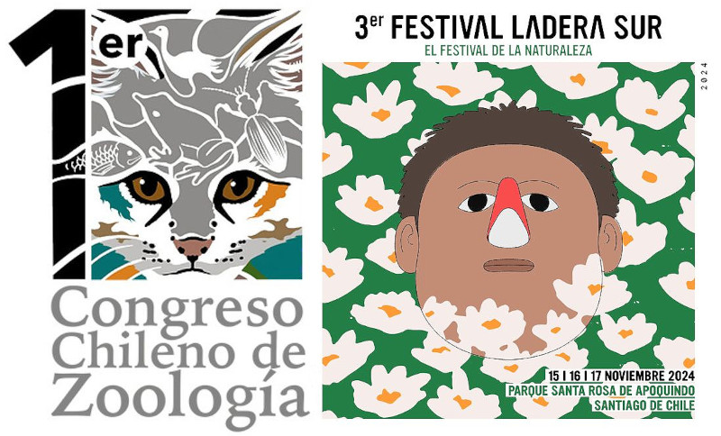 Carteles del I Congreso Chileno de Zoología y del III Festival Ladera Sur