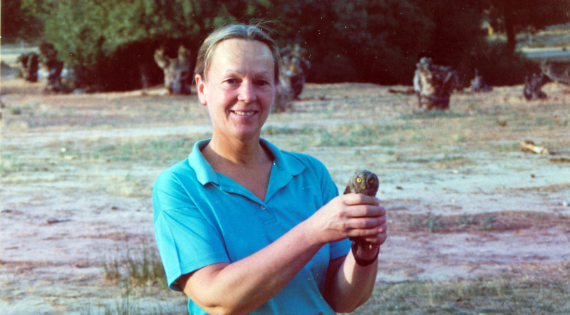 Foto de archivo de nuestra voluntaria Edith, a punto de liberar un autillo rehabilitado por GREFA.