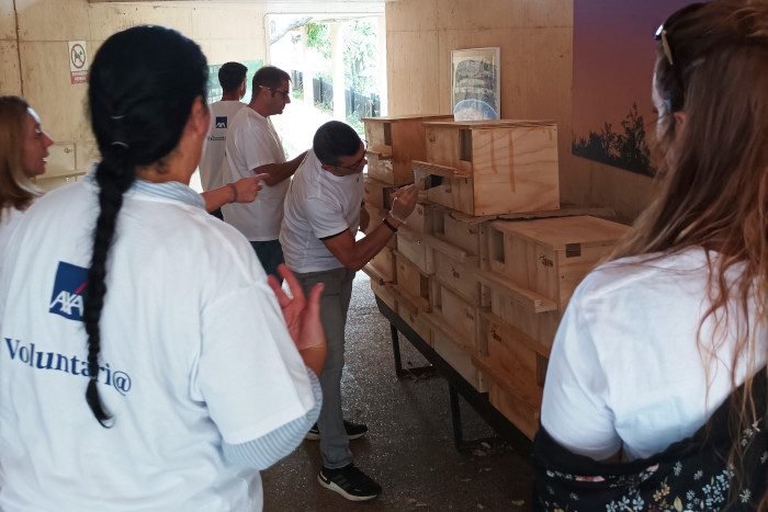 Un grupo de trabajadores de la aseguradora AXA prepara unas cajas nido en las instalaciones de GREFA.