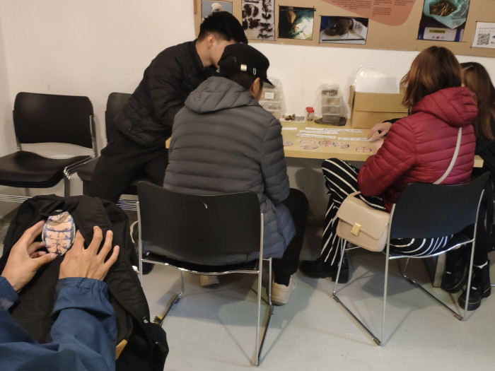 Alumnos de el CEPA “La Mesta” realizando la actividad.