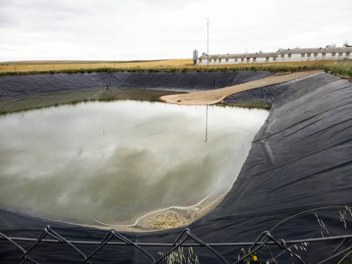 Ejemplo de balsa con rampa de hormigón, segura para la fauna, en la provincia de Segovia.