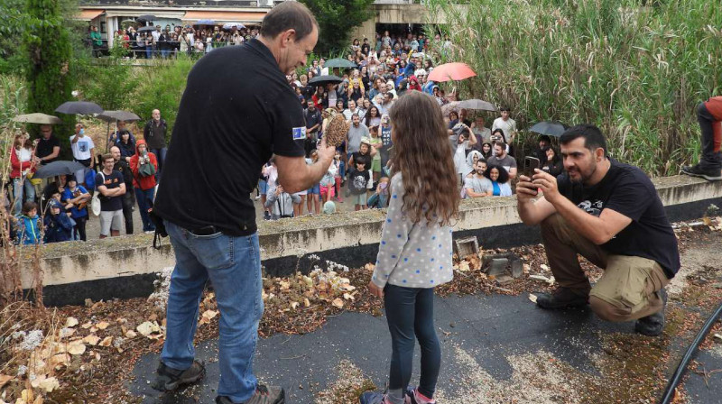 Momento de la liberación de un cernícalo vulgar durante la clausura de la última edición de nuestra jornada de puertas abiertas.