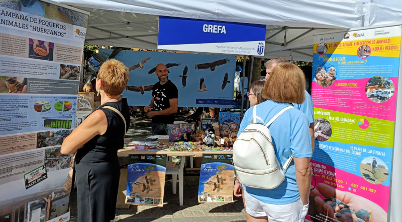 Stand de GREFA durante la celebración de la XVI Feria de Entidades de Acción Voluntaria de Majadahonda.