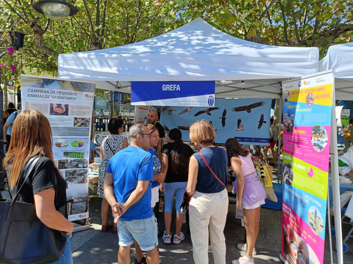 Durante la Feria ofrecimos información sobre el programa de voluntariado de GREFA.