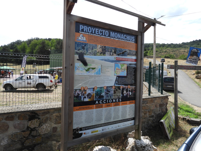 Cartel informativo sobre el Proyecto Monachus junto al recinto de Huerta de Arriba (Burgos) en el que se celebraron muchas de las actividades complementarias de la Fiesta del Buitre. Foto: Eduardo Ramírez.