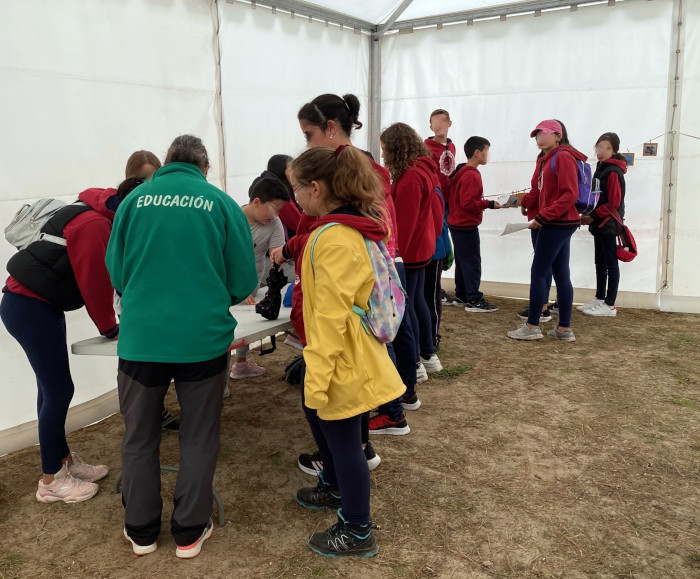 Ejemplo de una actividad infantil de las convocadas por el Equipo de Educación Ambiental de GREFA en Naturcyl.