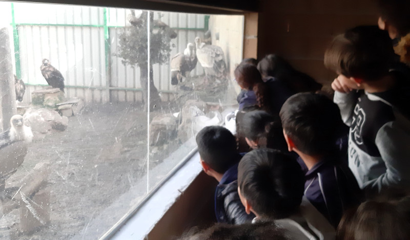 Escolares en una de las instalaciones de GREFA en las que conviven diferentes especies de aves rapaces irrecuperables.