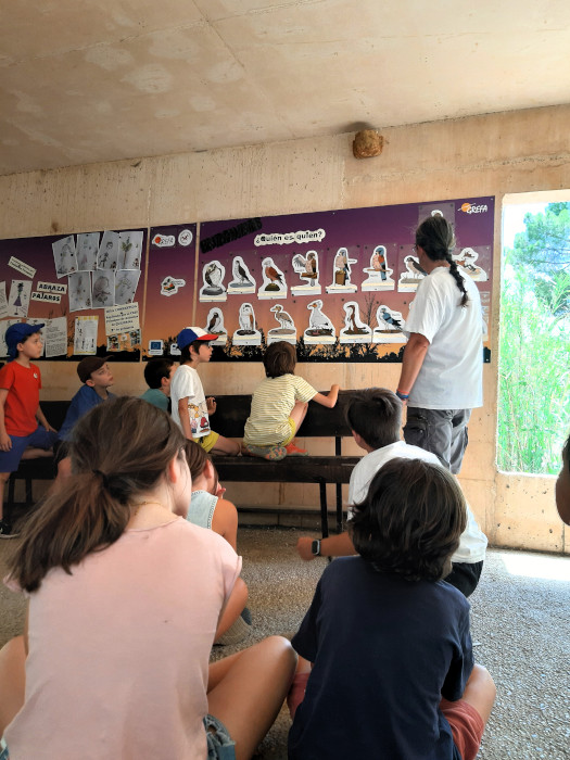 Niños aprendiendo a diferenciar a algunas de las aves autóctonas de nuestra fauna.