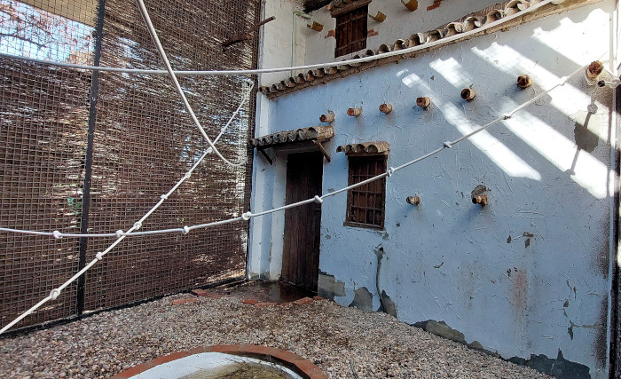 Interior de la instalación para el cernícalo primilla en el Centro de Conservación Zoo Córdoba con las modificaciones ya realizadas. Foto: José María Ayala.