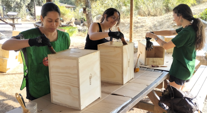 Práctica de construcción de cajas nidos para lechuzas integrada en nuestro curso.