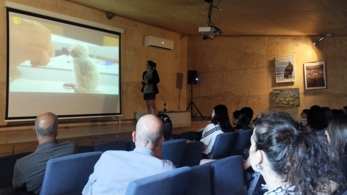 Charla impartida durante el curso en el auditorio de GREFA.