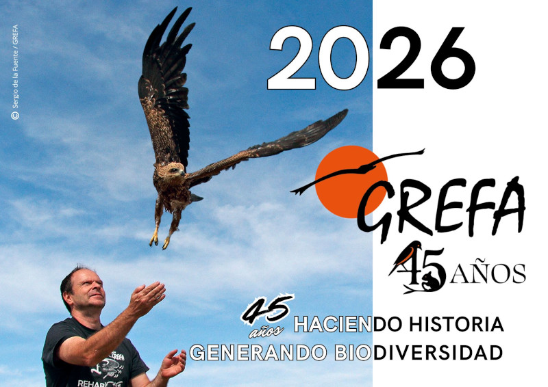 Portada del Calendario 2026 de GREFA, con el conmemoramos los 45 años de GREFA.