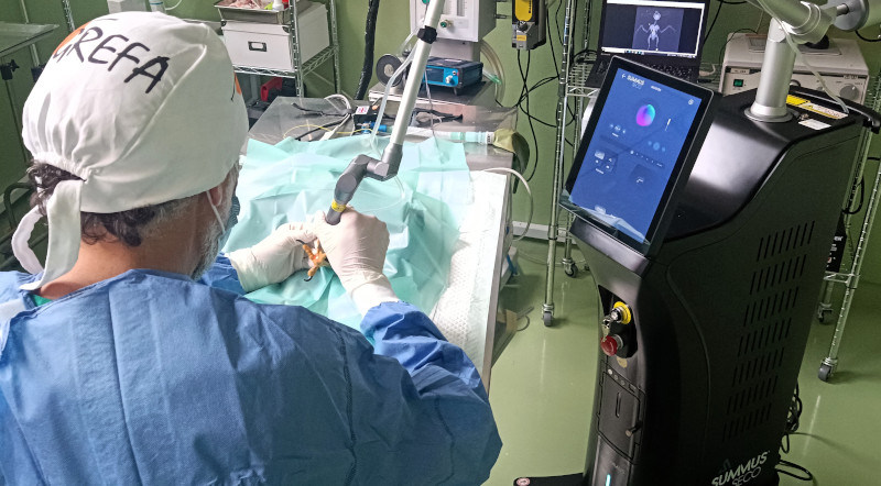 Un veterinario de GREFA utiliza el láser Summus SECO₂.