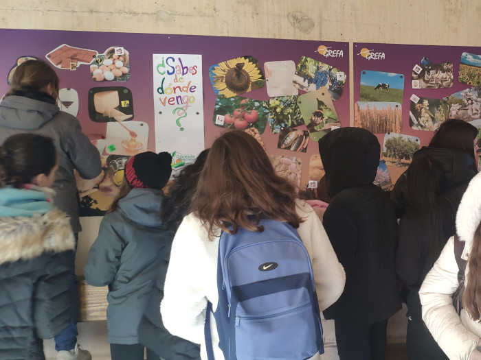 Actividad de educación ambiental con un grupo de niños en las instalaciones de GREFA.