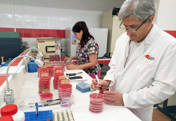 Bárbara Martín-Maldonado procesa muestras en nuestro laboratorio junto a un veterinario colaborador de GREFA.