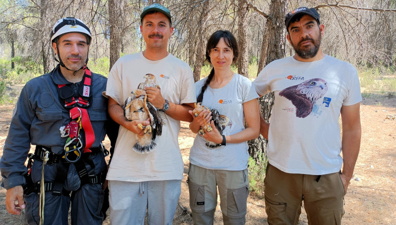 Equipo de GREFA durante el marcaje de “Cabriela” en las hoces del Cabriel (Cuenca).