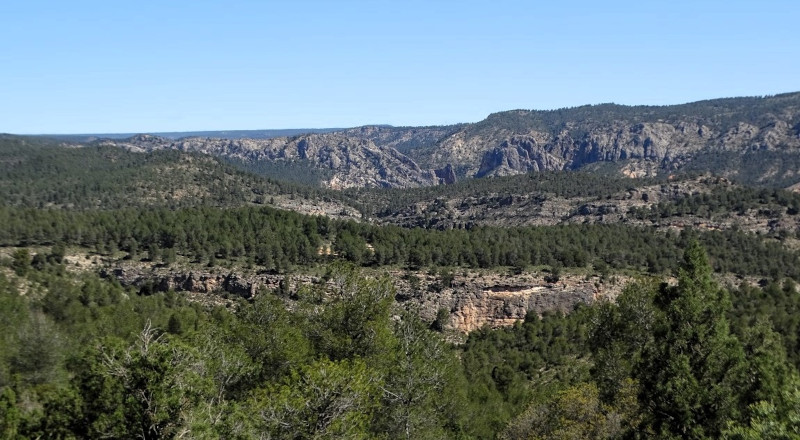 Paisaje de las hoces del río Cabriel (Cuenca).