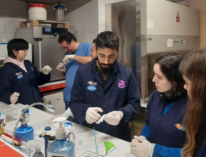 Voluntarios realizan un curso de formación en el laboratorio de GREFA.