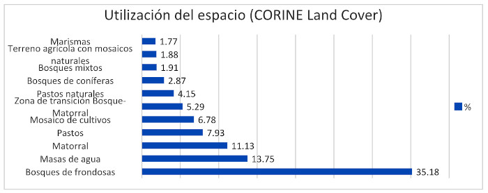 pigargo embajado figura2