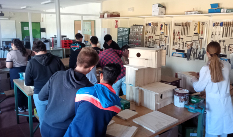 Alumnos del I.E.S. “Catalina de Lancaster” en Santa María la Real de Nieva (Segovia) durante el taller de construcción de cajas nido para el cernícalo primilla.