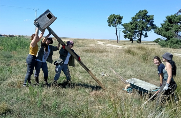 Instalación de una caja nido para fomentar las poblaciones de aves rapaces dentro del proyecto de GREFA para el control biológico del topillo campesino.