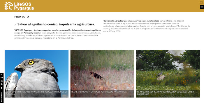 Captura de pantalla de una de las páginas de la web recién estrenada del proyecto LIFE SOS Pygargus.