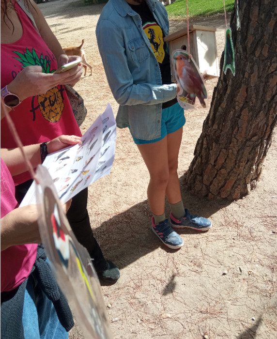 Participantes en el taller sobre identificación de aves urbanas.