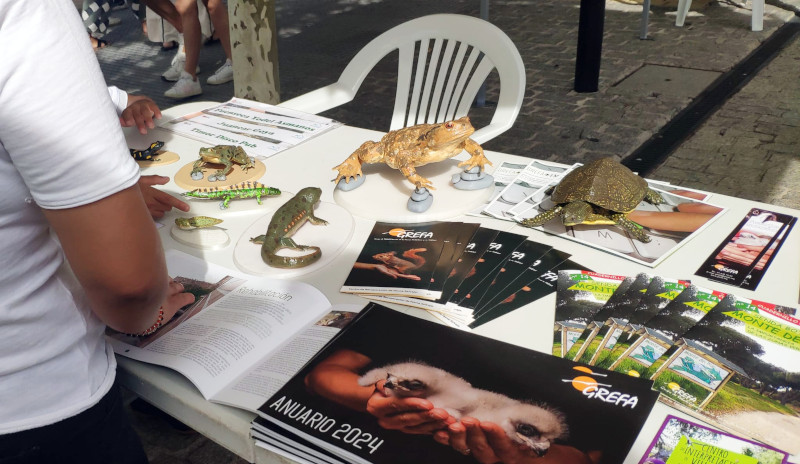 Publicaciones de GREFA y maquetas de anfibios en la mesa del stand de GREFA en la feria.