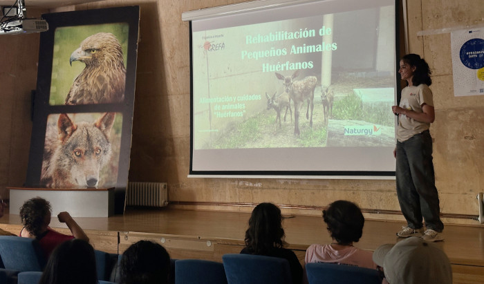 Jornada sobre rehabilitación de pequeños animales huérfanos celebrada en GREFA celebrada el pasado 26 de abril.