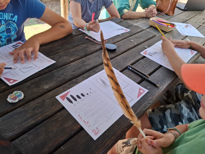 Actividad con plumas de aves en una edición anterior de los Campamentos de Verano de GREFA.
