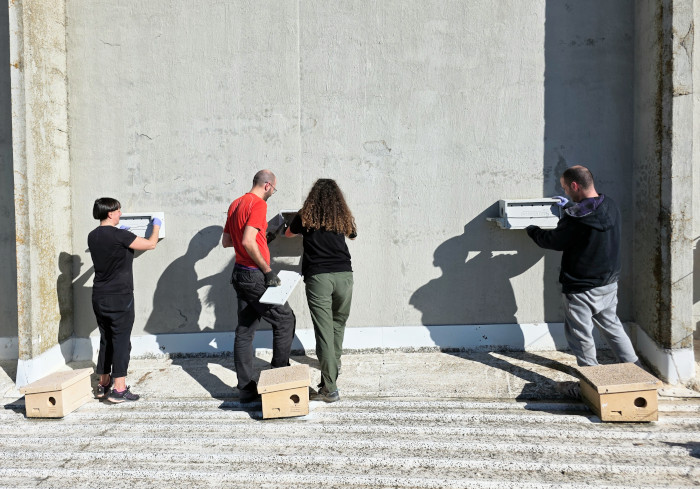 Voluntarios de GREFA durante los trabajos realizados en uno de los silos de Trujillo (Cáceres).