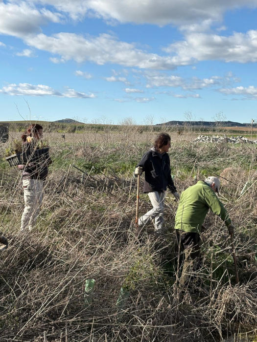 El III Foro de Naturaleza incluyó la plantación de especies vegetales autóctonas en la finca experimental “Las Pozas”.