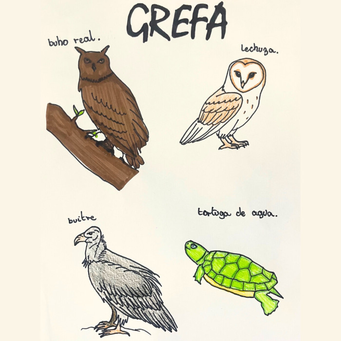 Dibujos infantiles de animales salvajes.