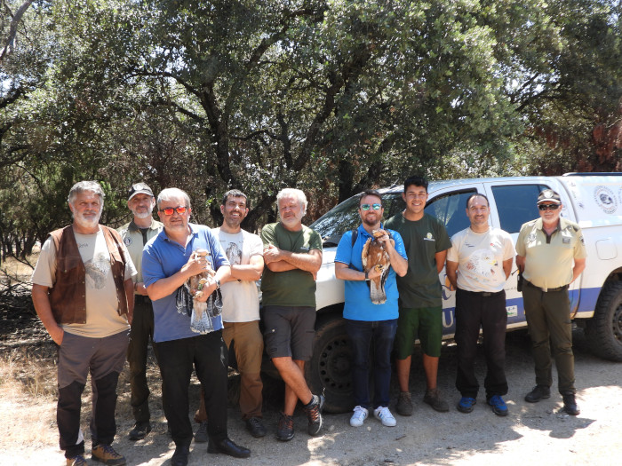 Representantes de Redeia y de GREFA, el propietario de la finca colaboradora y agentes forestales, junto a las águilas de Bonelli que van a ser introducidas en una "jaula hacking", en el verano de 2025.