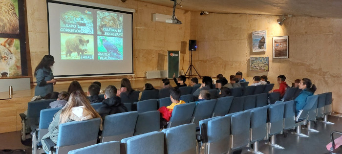 Alumnos de un colegio durante una actividad en el auditorio de GREFA.