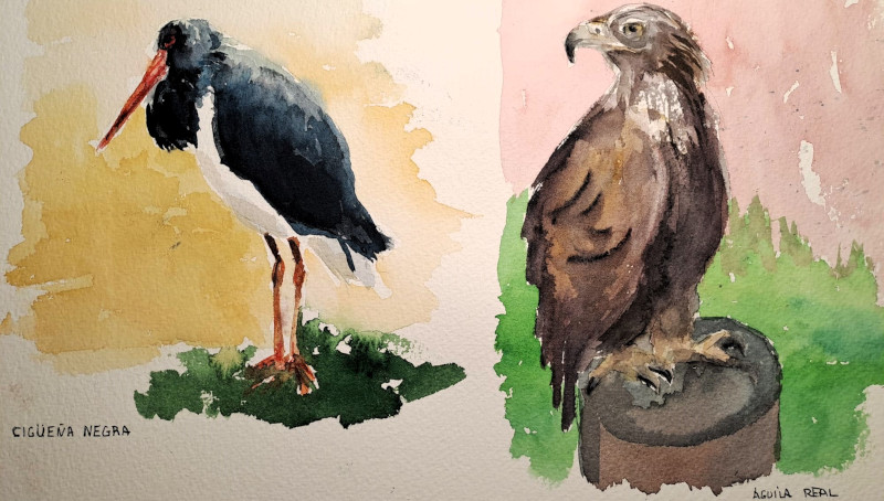 Acuarela realizada por un miembro de la Asociación de Acuarelistas de Majadahonda durante la jornada desarrollada en el centro de GREFA.