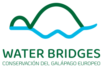 WATER BRIDGES