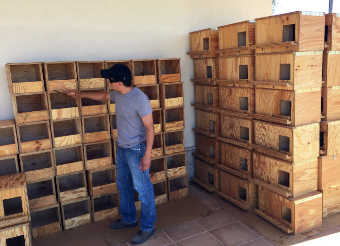 Cajas nido construidas por GREFA para albergar a dos rapaces depredadoras de topillos: cernícalo vulgar (a la izquierda) y lechuza europea (a la derecha).