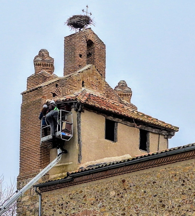 Instalación de nidales de cernícalo primilla en la iglesia de Laguna Rodrigo (Segovia).
