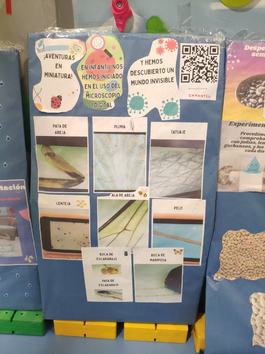 Los alumnos de 5º de Primaria del CEIP “Miguel de Cervantes” realizaron una presentación sobre los microplásticos.