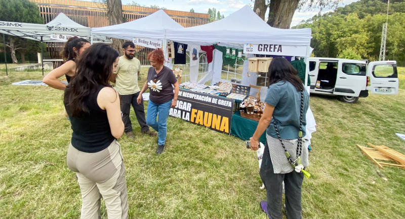 Así de bien lucía el stand de GREFA en Naturtajo 2026.
