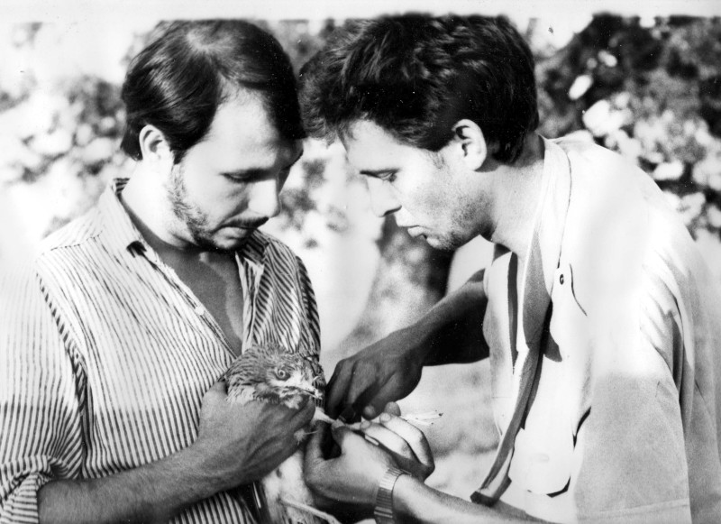 Fernando Garcés y Miguel Esmerdú, de GREFA. anillan un alcaraván en 1988. El vídeo que hemos preparado refleja nuestra trayectoria de 45 años.