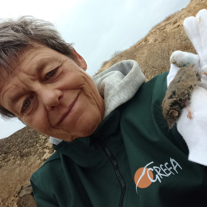 La especialista en musaraña canaria de GREFA, Claudia Schuster, con un individuo capturado en Montaña Clara durante los trabajos de campo para su estudio.